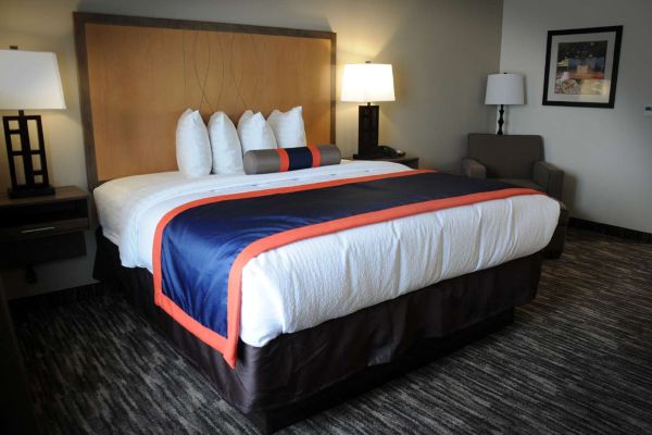 BEST WESTERN PLUS ARDMORE INN (Ardmore)